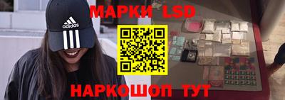 apvp Можга